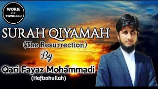Soul Touching Recitation Of Surah Qiyamah By Qari Fayaz Mohammadi || WORK FOR TAWHEED ||