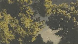 Mr. Käfer X Leavv - Waterwood