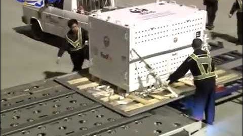 The Pandas Are Coming!