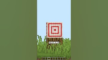 Zoom Is Finally INSANE #minecraft