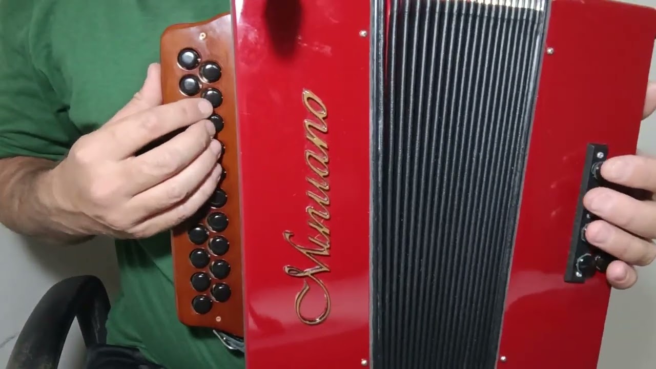 CADELA BAIA - VIDEO AULA GAITA PONTO