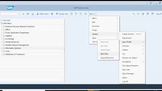 Tutorial SAP01 Exercise 2-1 task 2