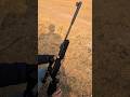 most powerful airgun | aarmr classic nx accuracy #trending #youtubeshorts #shorts #airgunhunting