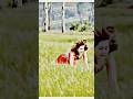 Song Love Hindisong Dj Music Bollywood Comedy Vikramcomedy Funny Vikramvibes Song Love Hindisong Dj Music Bollywood Comedy Vikramcomedy Funny Vikramvibes