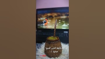 اكتب شيء تؤجر عليه 🥺❤️ حالات واتس 💚 تصويري 💚قران كريم💚طمئنين💚 ان الله وملائكته يصلون على النبي 💚 متة