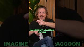Racoons are not from this Planet