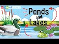 Ponds and lakes