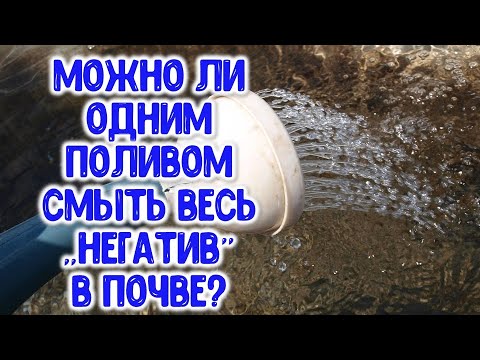 Как оздоровить почву? Как сделать почву плодородной? Способы оздоровления и улучшения плодородия поч