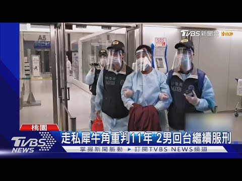 首例!史瓦帝尼走私犀牛角 2男押解回台服刑｜TVBS新聞