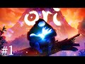 NUOVA SERIE - Ori and the Blind Forest ITA #1