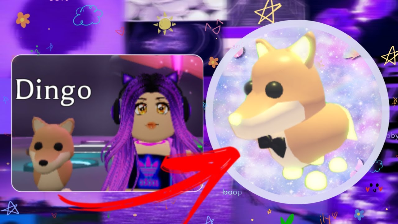 Fiz meu dingo neonadopt me (ROBLOX) YouTube
