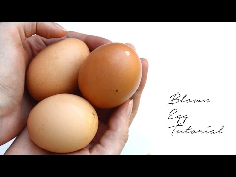 How to Blow Out an Egg | Easter Craft