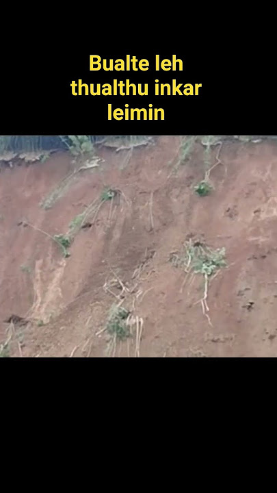 2/8/2025 bualte daia leimin