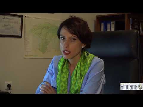 ბოლნისში საარჩევნო პროცესმა მშვიდ ვითარებაში ჩაიარა