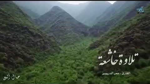التلاوة التي يبحث عنها الكثير😭💔القارئ عمر الدريويز