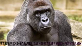 Video thumbnail of "A True Friend - Harambe Tribute (Gas House Remix) - Filthy Frank"