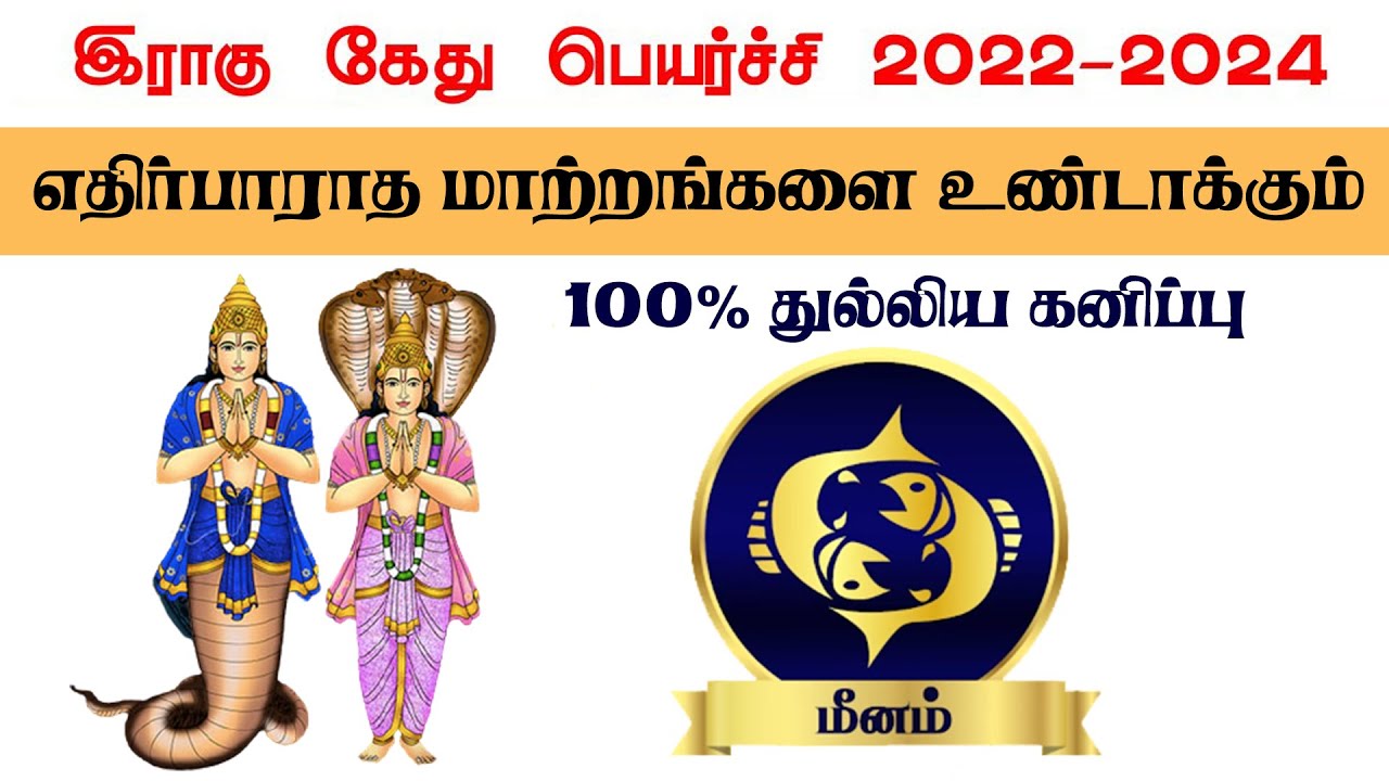 Meenam rasi Rahu Kethu Peyarchi Palangal 2022 to 2024 Pisces