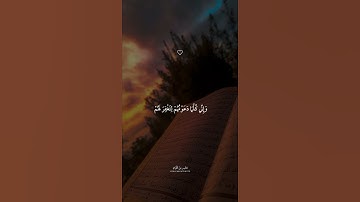 تلاوة هادئة جميلة بصوت الشيخ ماهر المعيقلي ارح قلبك وسمعك 🤍.