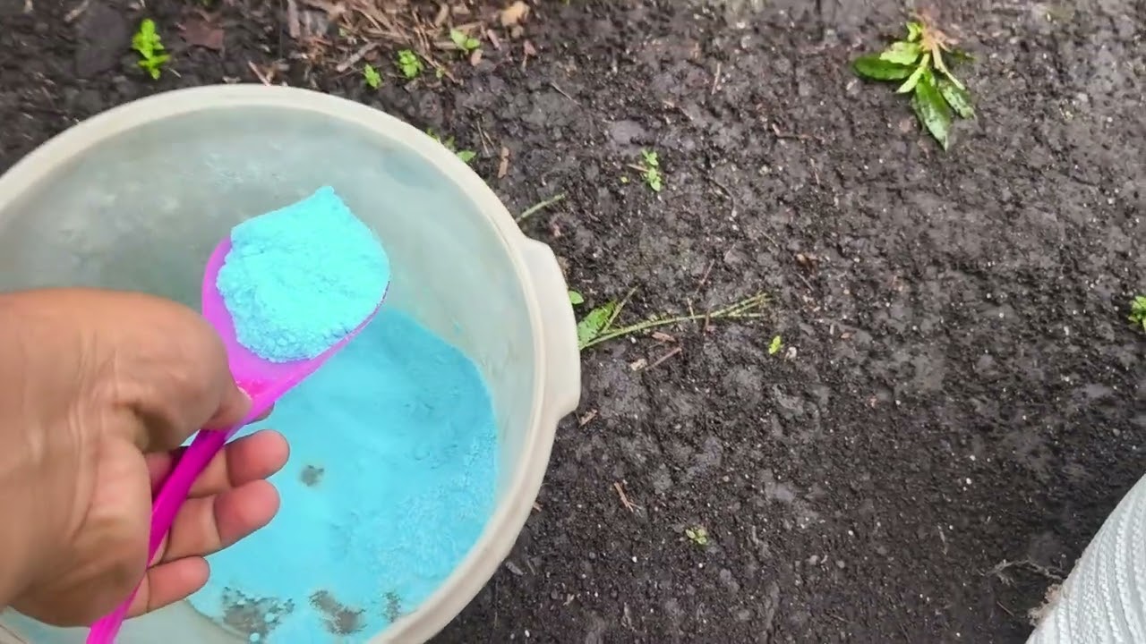 KEGUNAAN PUPUK CU DAN PENGAPELIKASIAN NYA