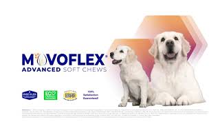 MOVOFLEX® Advanced: the latest advancement in canine joint health by Virbac US 749 views 1 year ago 32 seconds