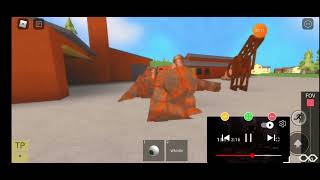 The Early Reel 1981Aftermath