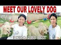 MEET Our LOVELY and FRIENDLY DOG.BINGO and SKY.|JOY GERMAN VLOG