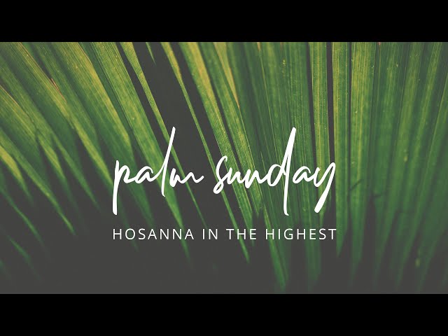 Palm Sunday - Sunday, March 24, 2024