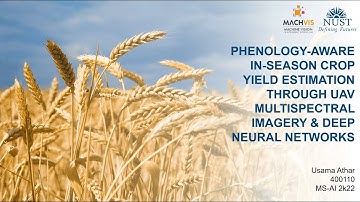 Phenology-Aware In-Season Crop Yield Estimation Through UAV Multispectral Imagery & Deep Networks