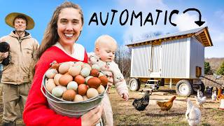 New Hens For Our Fully Automatic Chicken Coop!