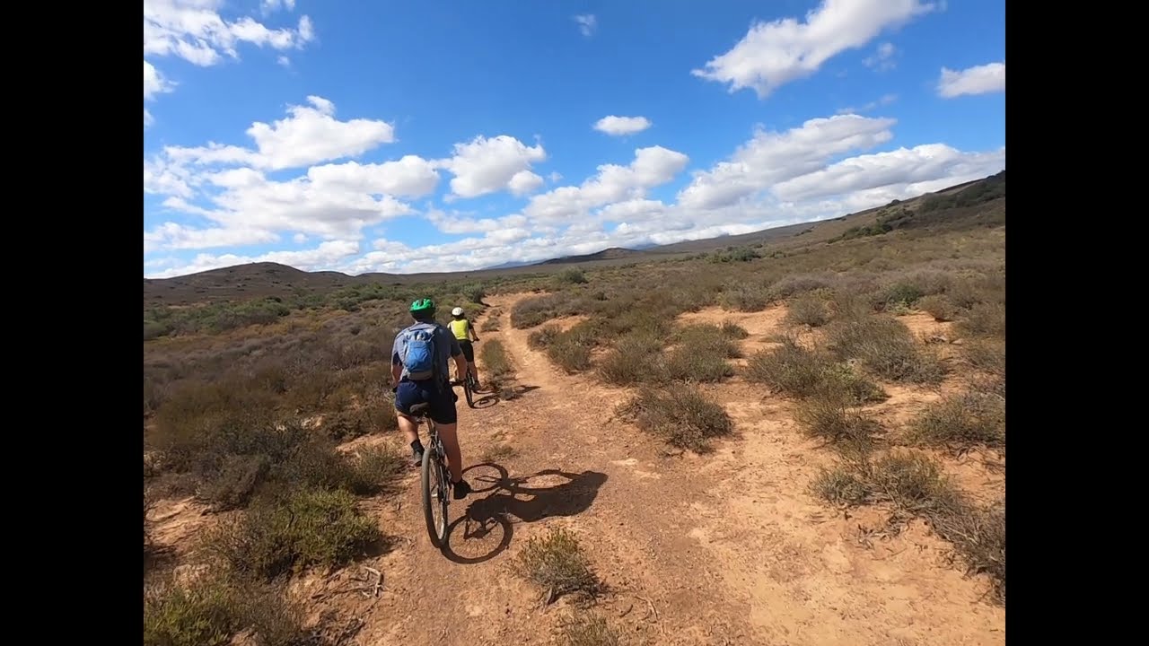 Winelands and Wildlife Cycling Adventure 
