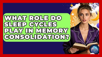 What Role Do Sleep Cycles Play in Memory Consolidation? - Dream Discovery Den