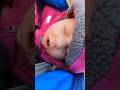 Hike to Alpine Lake with Newborn #mountains #newborn #hikingwithkids #momlife #daughter