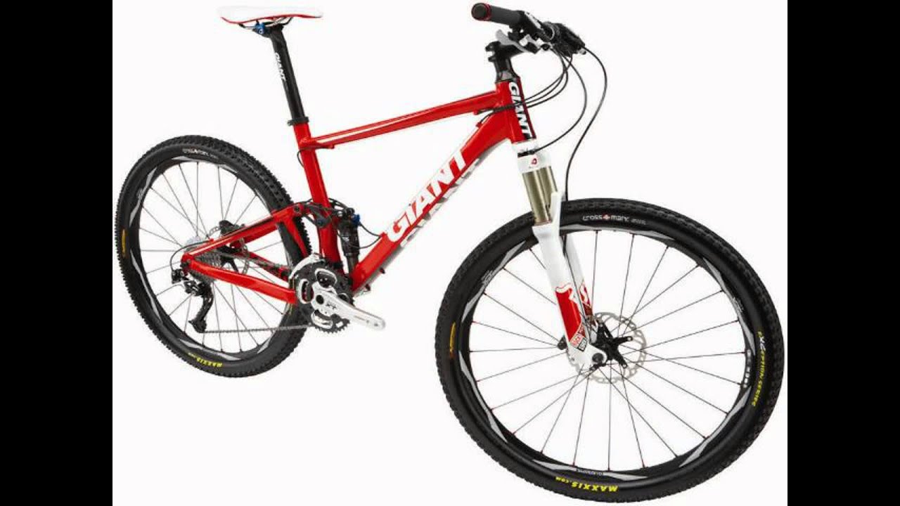 Bicycle Giant Anthem X 29er 1 2013