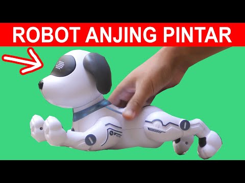 Video: SpotMini, Anjing Robot Yang Sangat Pintar