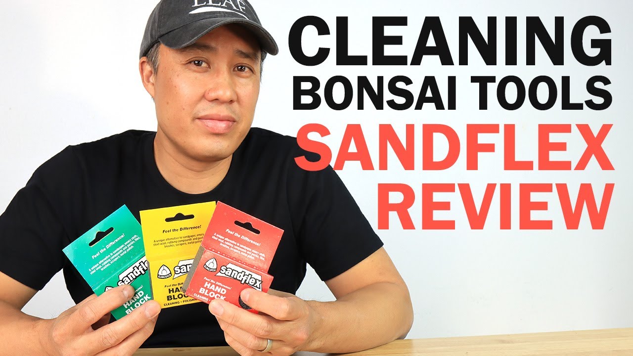 Klingspor Sandflex Product Review Cleaning Bonsai Tools YouTube
