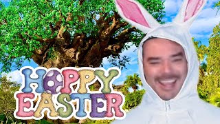 Live - Happy Easter From Animal Kingdom