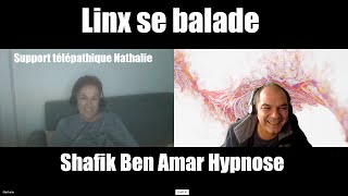 80FR – Nathalie – Linx se balade  Shafik Ben Amar #Hypnose #Régressive #ésotériques