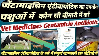 Vet Medicine:- Gentamicin Antibiotic Ka Upyog Pashuon Mein kase kare? जेंटामाइसिन  का उपयोग
