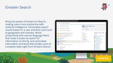 Applications - Einstein Search
