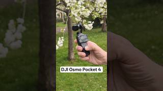 Hands on with the DJI Osmo Pocket 4! #dji #djipocket3 #djipocket4