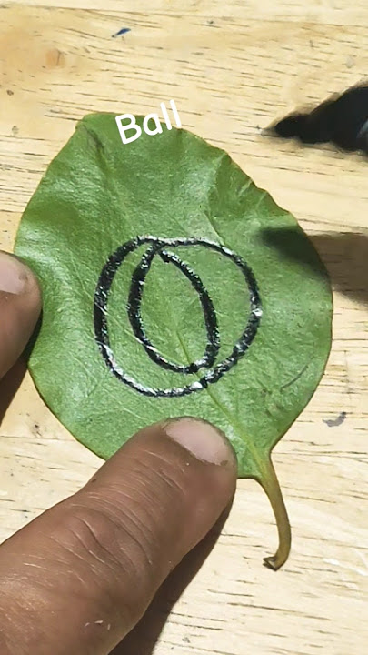 Ball Drawing with O letter on a leaf #creative #super #fyp #drawing #art