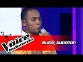 Aldo  langit abuabu  blind auditions  the voice indonesia gtv 2018