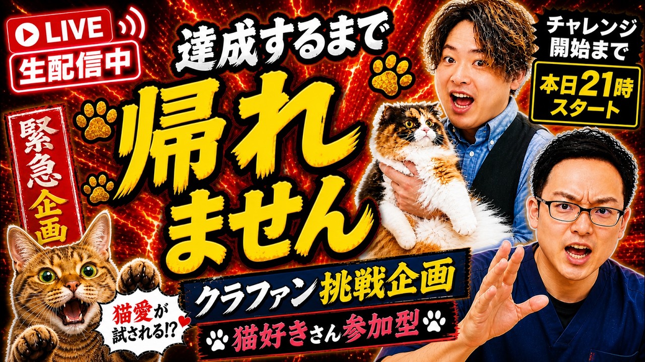 【緊急生配信】重大告知があります!!!※チャレンジ開始は21時~! #獣医師いとぅ #コラボ生配信 #沢辺 #ねこフェス