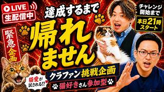 【緊急生配信】重大告知があります！！！※チャレンジ開始は21時～！ #獣医師いとぅ #コラボ生配信 #沢辺 #ねこフェス