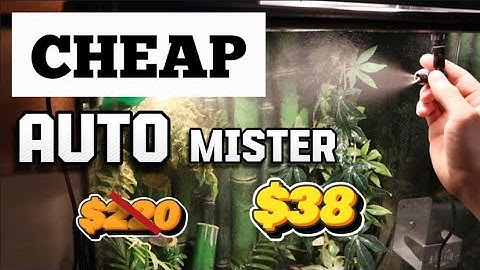 $38 CHEAP Amazon Terrarium Auto Mister (how to setup)