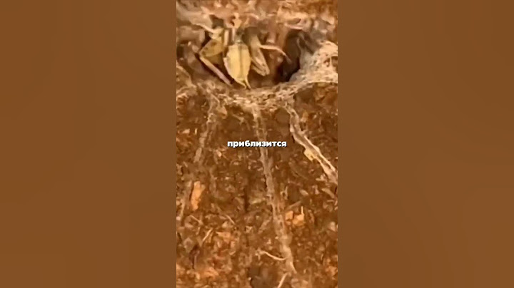 Никогда не трогайте эту штуку