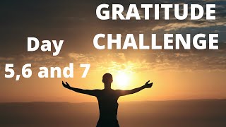 7 day gratitude challenge Day 5 ,day 6 and day 7,gratitude,gratitude journal