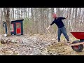 We Landscaped the Off Grid Tiny Cabin: Part 1