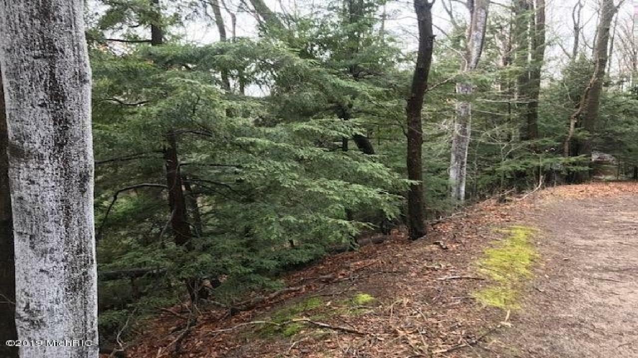 10304 LOST VALLEY ROAD, MONTAGUE, MI Presented by Katie Rice. YouTube