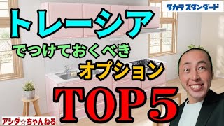 【オプションTOP5】タカラのキッチン「トレーシア」でつけておくべきオプションTOP5の紹介です。